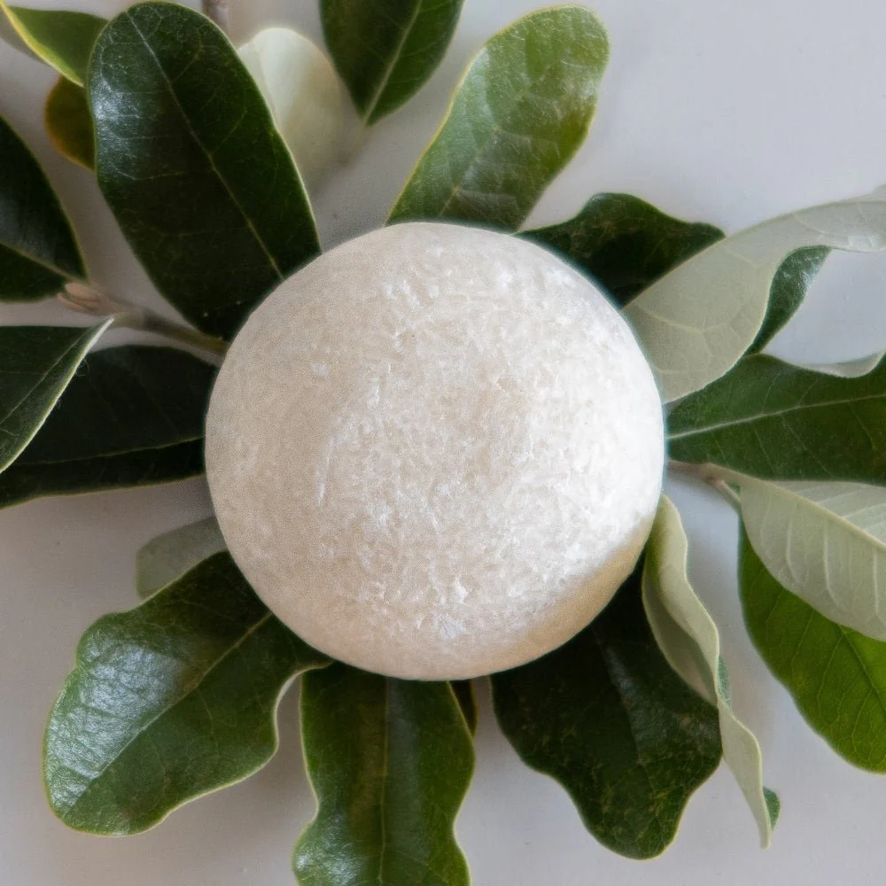 Shampoo Bars - Image 8