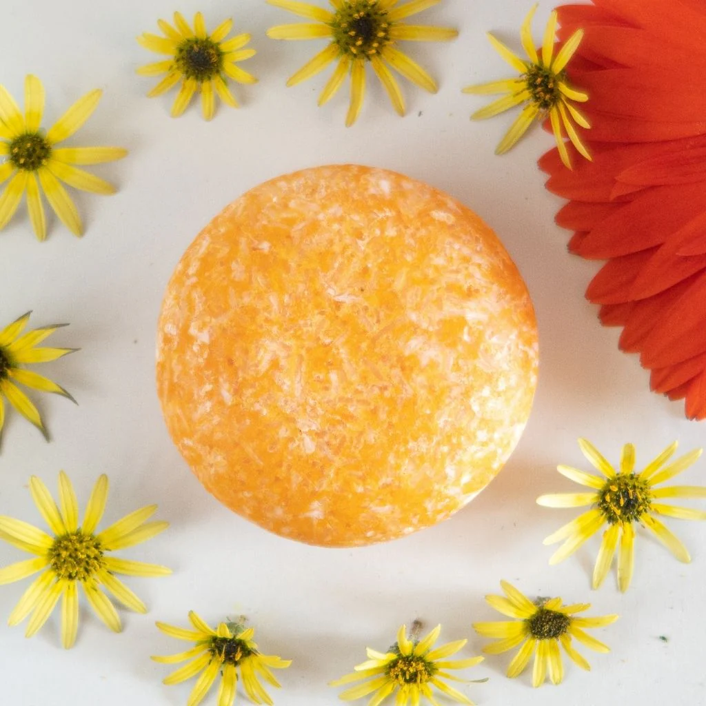 The Humby Club - Shampoo & Conditioner Bar Subscription - Image 3
